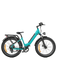 Bici elettrica elettrica E26