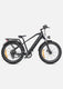 Bici elettrica elettrica E26