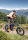 Engine Pro 3.0 Boost Electric Bike