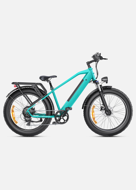Bici elettrica elettrica E26