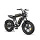M20 Motorcycle-styled Electric Bike