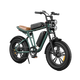 Bici elettrica in stile motociclistico M20