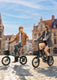 ZIP Folding Electric Bike
